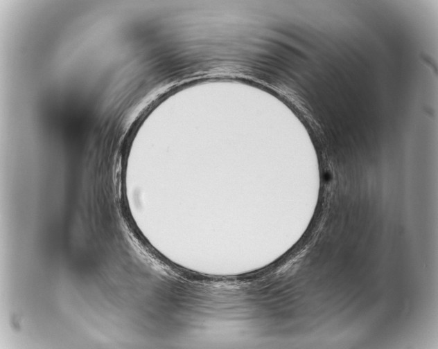 X0000101681126200807311513