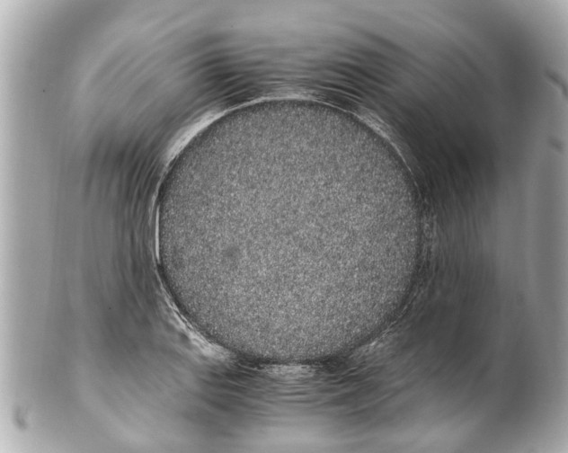 X0000101681127200807311513