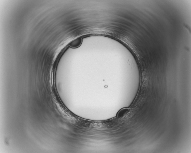 X0000101681128200807311513