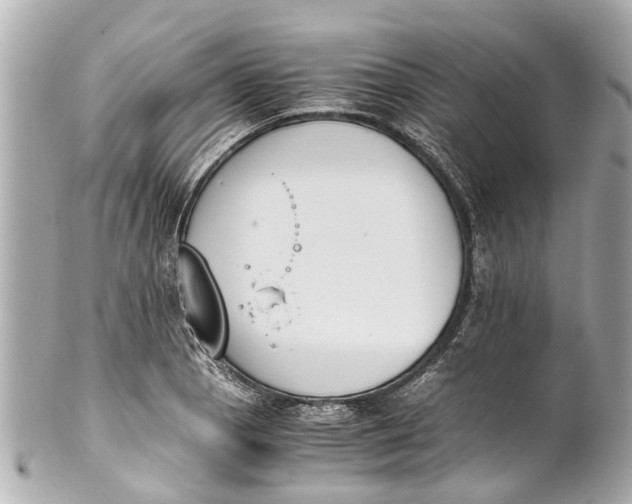 X0000101681129200807311513