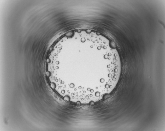 X0000101681130200807311513