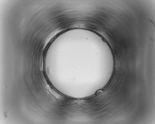 X0000101681131200807311513