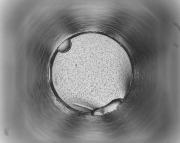 X0000101681132200807311513