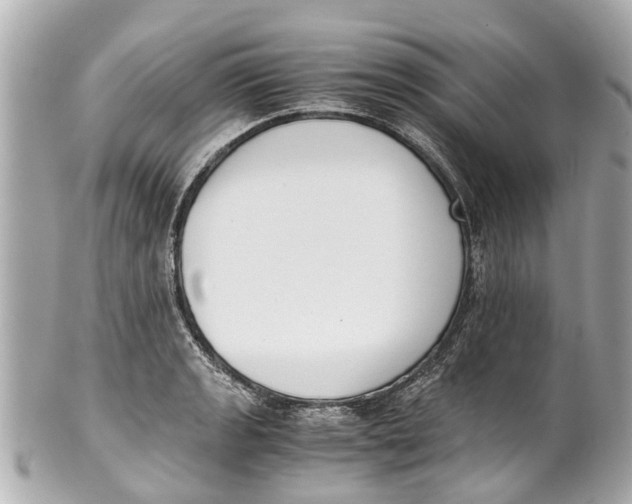 X0000101681133200807311513