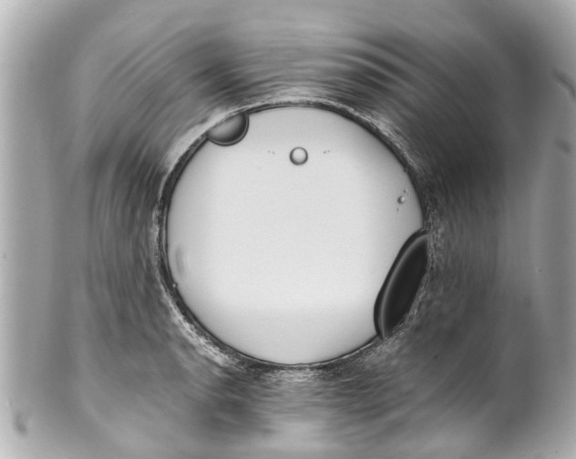 X0000101681134200807311513