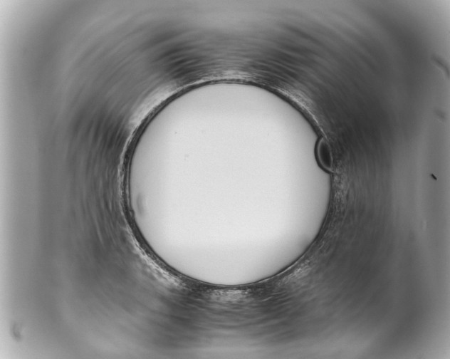 X0000101681135200807311513