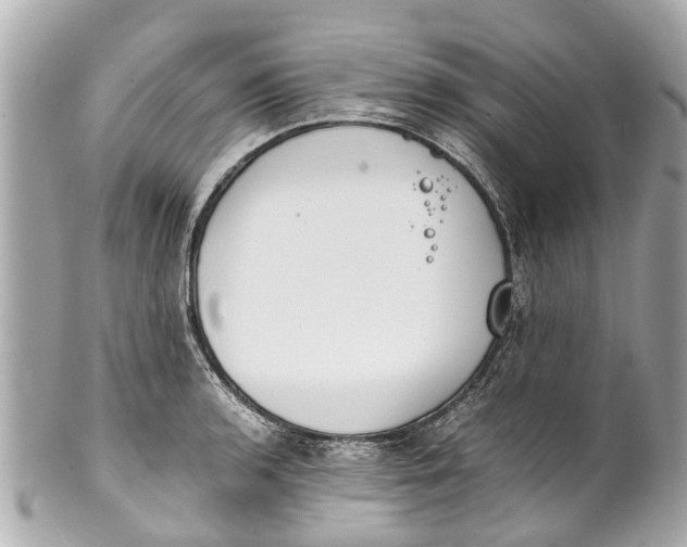 X0000101681136200807311513