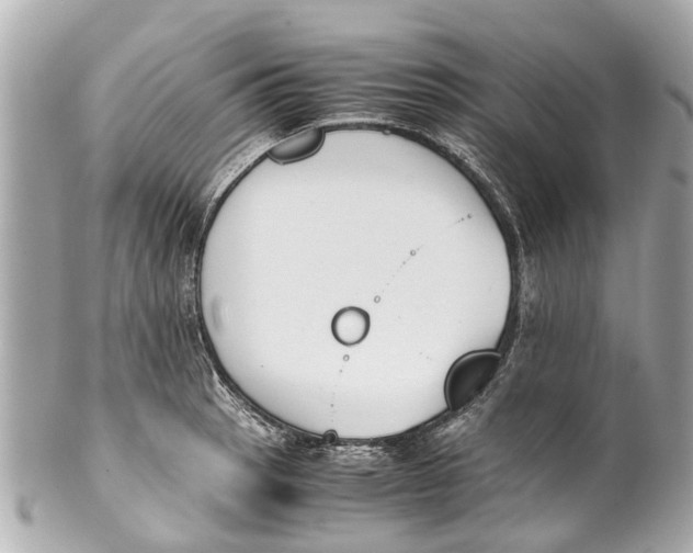 X0000101681137200807311513