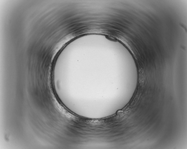 X0000101681139200807311513