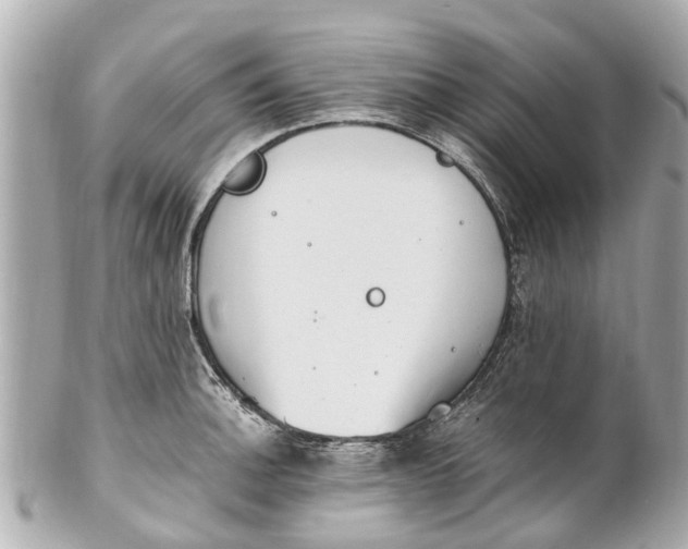 X0000101681140200807311513