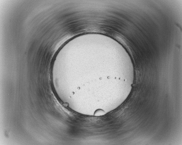 X0000101681141200807311513