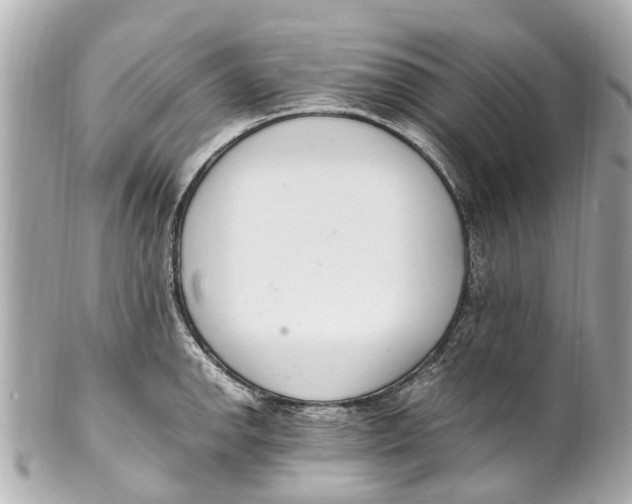 X0000101681142200807311513