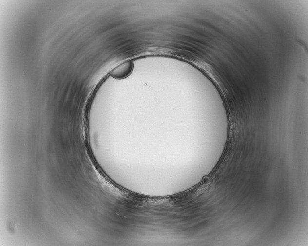 X0000101681143200807311513