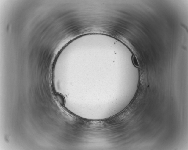 X0000101681144200807311513