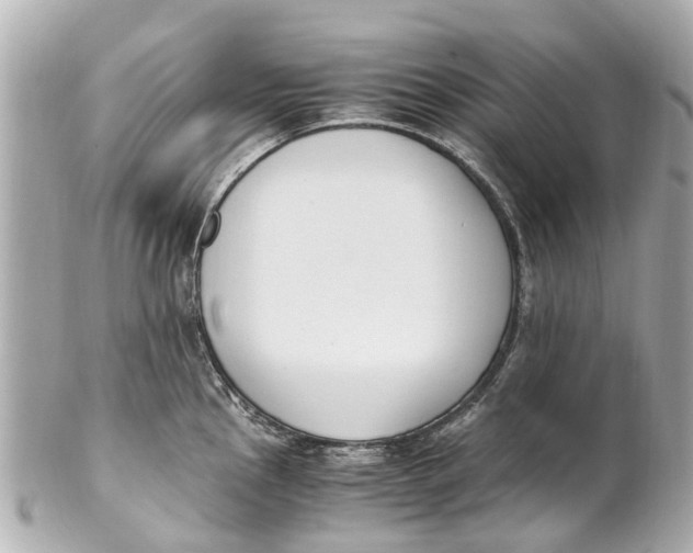 X0000101681145200807311513