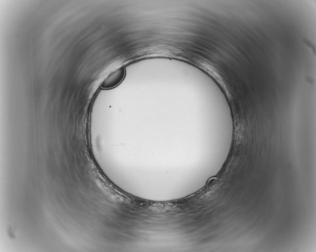 X0000101681146200807311513