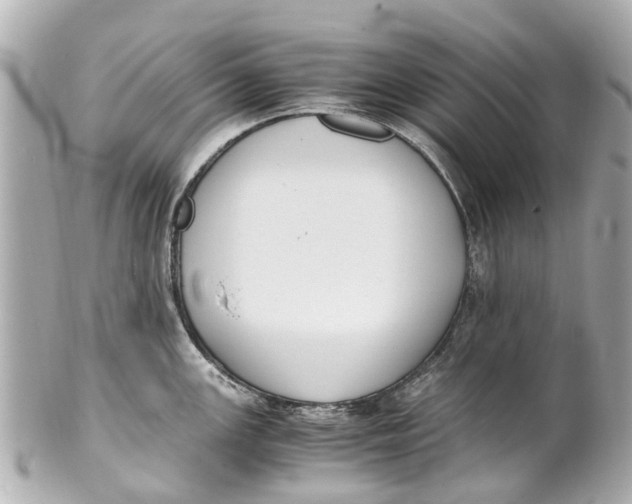 X0000101681147200807311513