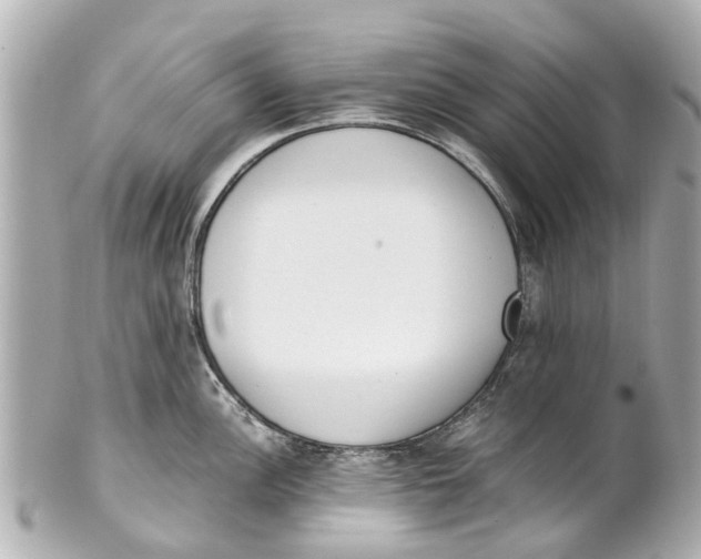 X0000101681148200807311513