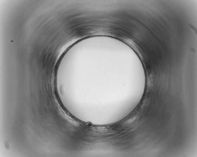 X0000101681149200807311513