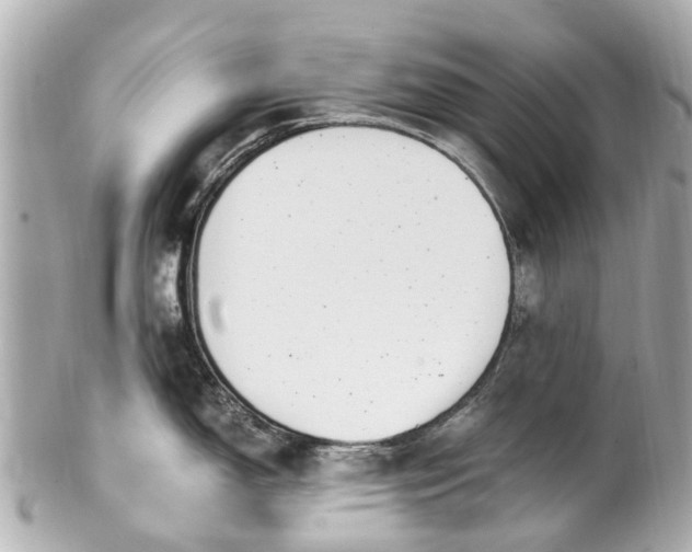 X0000101681150200807311513