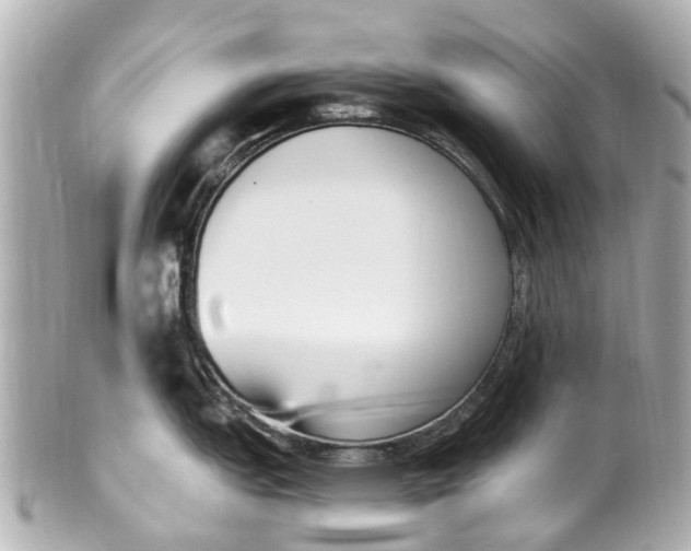 X0000101681151200807311513