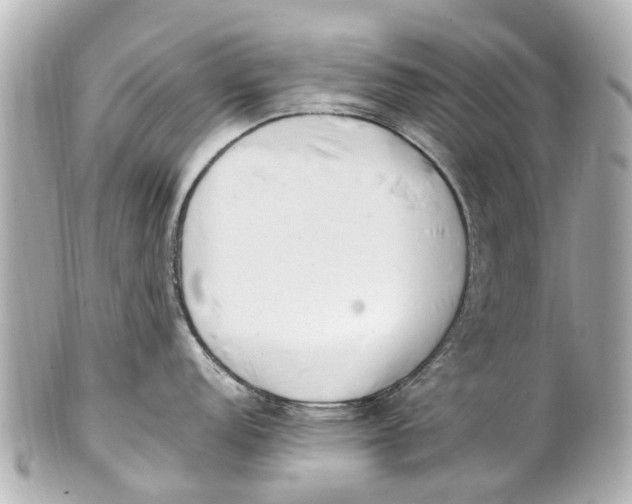 X0000101681152200807311513