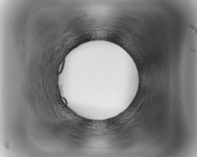 X0000101681153200807311513