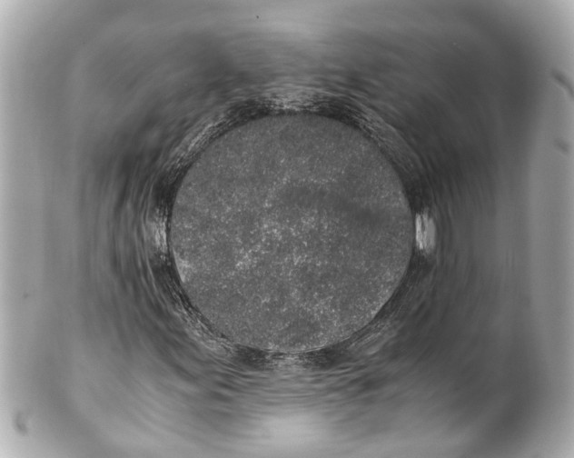 X0000101681155200807311513