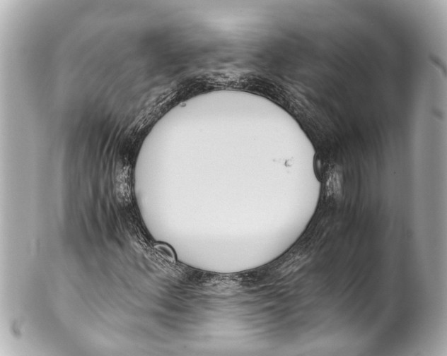 X0000101681156200807311513