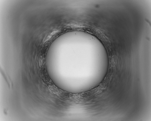 X0000101681157200807311513