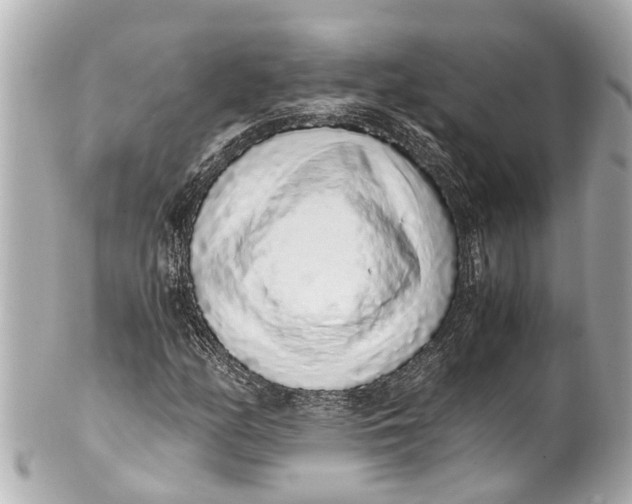 X0000101681158200807311513