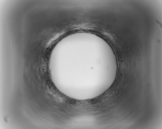 X0000101681159200807311513