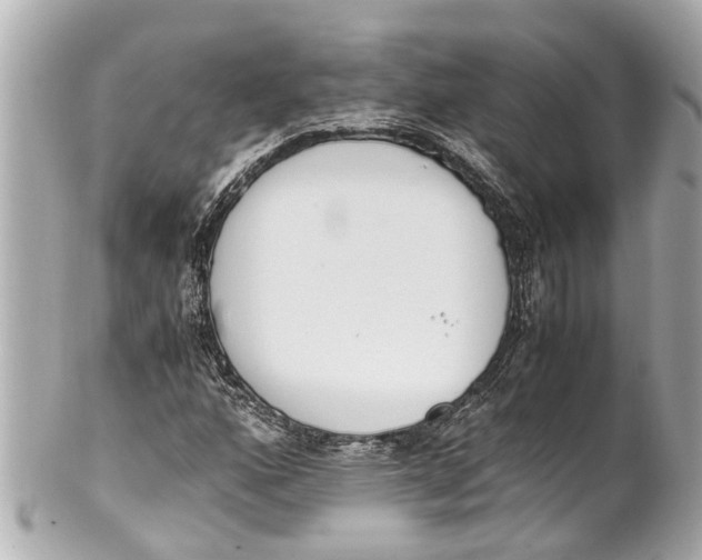 X0000101681160200807311513