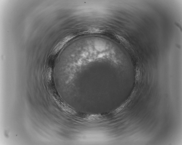 X0000101681161200807311513