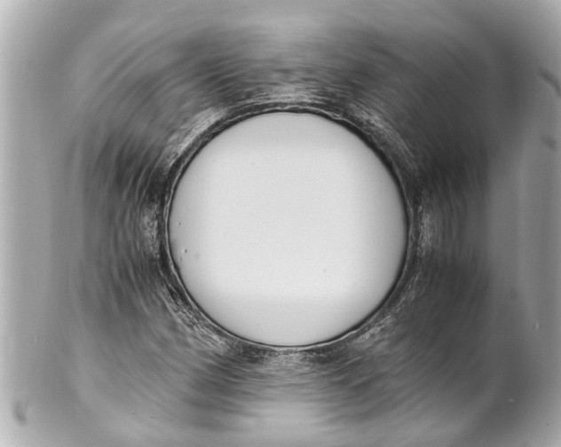 X0000101681162200807311513