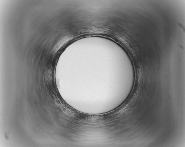 X0000101681163200807311513