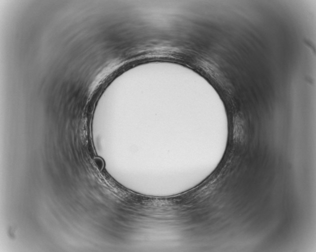 X0000101681164200807311513