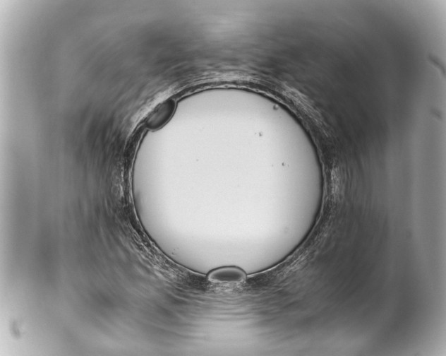 X0000101681165200807311512