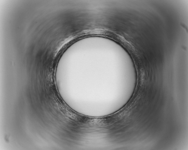 X0000101681166200807311512