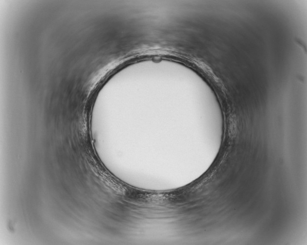 X0000101681167200807311512