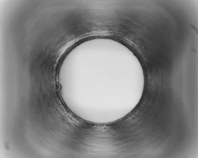 X0000101681168200807311512