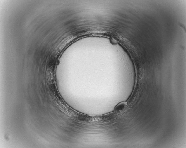 X0000101681169200807311512