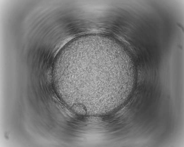 X0000101681170200807311512