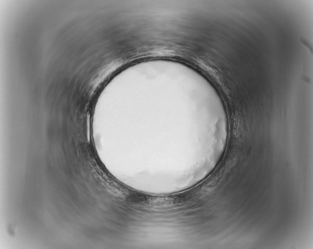 X0000101681171200807311512