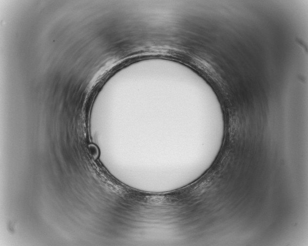 X0000101681172200807311512