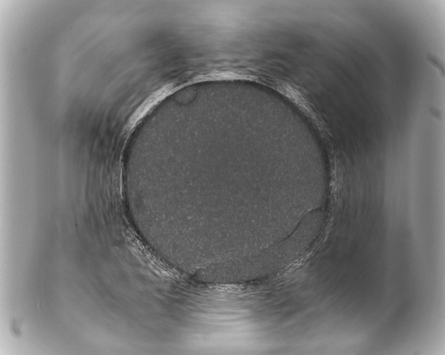 X0000101681173200807311512