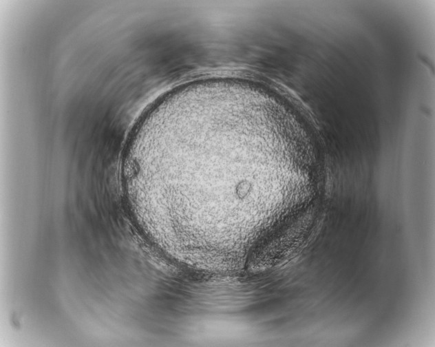 X0000101681174200807311512