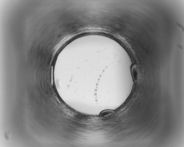 X0000101681175200807311512