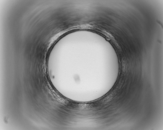 X0000101681176200807311512