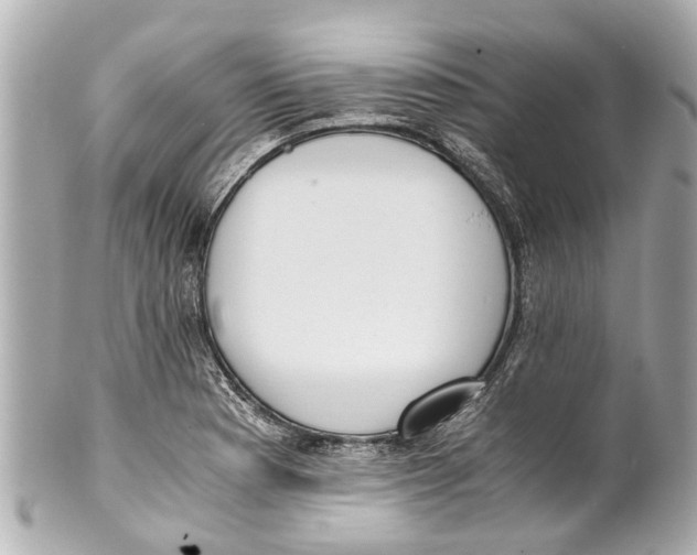 X0000101681177200807311512